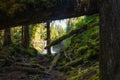 Fallen debris and logs along the McKenzie River in Oregon