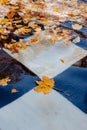 Fallen different colourful leaves floating in fountai. Autumn time Royalty Free Stock Photo