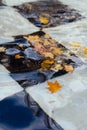 Fallen different colourful leaves floating in fountain. Autumn season Royalty Free Stock Photo