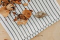 Fallen dried yellow rose petals on the wooden table. Royalty Free Stock Photo