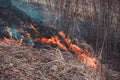 Fallen dry grass is dangerous to the lives of small animals and insects, as well as harm to human health