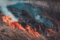 Fallen dry grass is dangerous to the lives of small animals and insects, as well as harm to human health