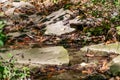 Fallen dry leaves and small branches in a forest pool among stones, moss and vegetation. Wet and humid climate after rainy Royalty Free Stock Photo