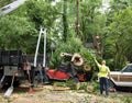 Fallen Fifty Foot Tree Crushes Jeep