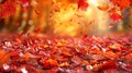 Fallen Foliage Frenzy: A Stunning Autumn Leaves Background in Disarray