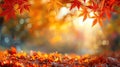 Fallen Foliage Frenzy: A Stunning Autumn Leaves Background in Disarray