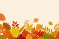 Fallen gold and red autumn leaves. October nature vector abstract background with foliage border Royalty Free Stock Photo