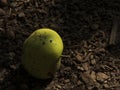 A Fallen Green Apple on Dark Ground Royalty Free Stock Photo