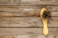 Fallen hair on comb on table.