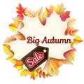 Fallen leaf Big Sale. EPS 10 Royalty Free Stock Photo