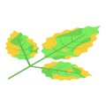 Fallen leaf icon, isometric style Royalty Free Stock Photo