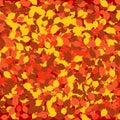 Fallen Leaves Autumn Background Royalty Free Stock Photo