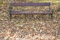 Fallen leaves, autumn Royalty Free Stock Photo
