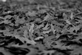 Carpet of fallen leaves nostalgic melanchonic feelings Royalty Free Stock Photo