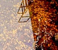 Fallen leaves at the bottom of the river, a reflection on the surface of the water, autumn mists and several shades of brown