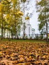 Fallen leaves and church