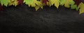 Fallen leaves on dark slate background. Colorful autumn fallen leaves