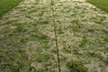 Fallen Leaves on Driveway after Hail Storm Royalty Free Stock Photo