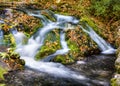 Fallen Leaves on Laurel Creek Royalty Free Stock Photo