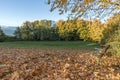 Fallen leaves, park bench, green grass, ocean and mountains Royalty Free Stock Photo