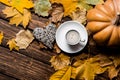 Fallen leaves, pumpkin, toy and cup of coffee Royalty Free Stock Photo