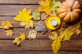 Fallen leaves, pumpkin, toy and cup of coffee Royalty Free Stock Photo