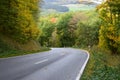 fallen leaves on a steep country road in the Eifel