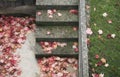 Fallen leaves on steps Royalty Free Stock Photo