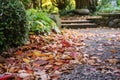 fallen leaves on a stone garden path