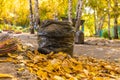 Fallen leaves from trees are swept and collected in bags Royalty Free Stock Photo