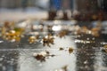 Fallen leaves under autumn rain