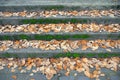 Fallen leaves on walkway steps. Royalty Free Stock Photo