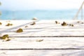 Fallen leaves on the white board Royalty Free Stock Photo