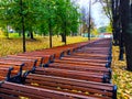 fallen leaves on wooden bench in empty park autumn background. Bench, autumn landscape, city park with yellow leaves, a street