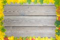 Fallen leaves on a wooden table. Yellow and red leaves on old table boards. Autumn leaves fallen on the table. Royalty Free Stock Photo