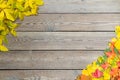 Fallen leaves on a wooden table. Yellow and red leaves on old table boards. Autumn leaves fallen on the table. Royalty Free Stock Photo