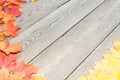 Fallen leaves on a wooden table. Yellow and red leaves on old table boards. Autumn leaves fallen on the table. Royalty Free Stock Photo