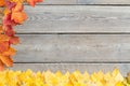 Fallen leaves on a wooden table. Yellow and red leaves on old table boards. Autumn leaves fallen on the table. Royalty Free Stock Photo
