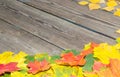 Fallen leaves on a wooden table. Yellow and red leaves on old table boards. Autumn leaves fallen on the table. Royalty Free Stock Photo