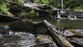 Fallen log in Devil`s Den in Cheaha State park