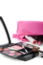 Fallen make up case