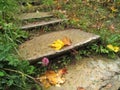 A fallen maple leaf lies on a wet old narrow concrete steps