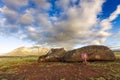 Fallen Moai lying in front of the mountain