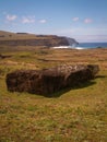 Fallen Moai Pointing To Coast