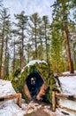 Fallen Monarch Tree in Kings Canyon National Park, California Royalty Free Stock Photo