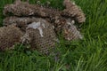 Fallen old abandoned wasp nest on the ground