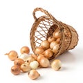 Fallen Onion Basket Royalty Free Stock Photo