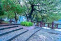 Fallen petals lie in profusion-Nanchang Mei Lake Scenic Area