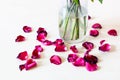 Fallen petals of red rose flower near glass vase Royalty Free Stock Photo
