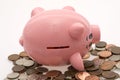 Fallen Piggy Bank and Coins Royalty Free Stock Photo